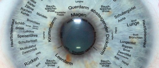 Iridologie - Irisanalysen